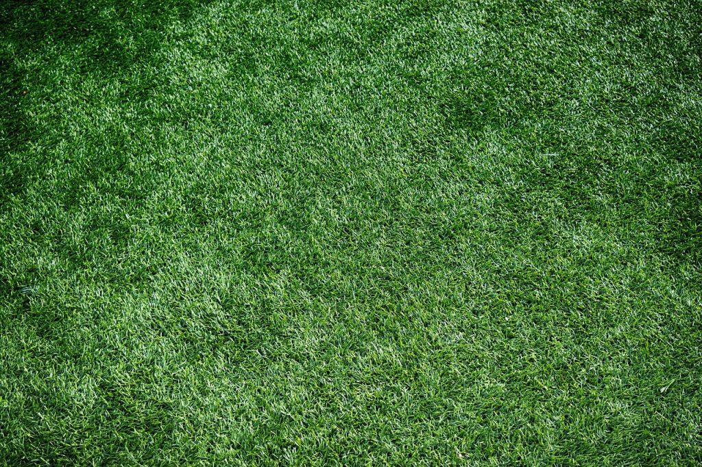 Pros & Cons of Artificial Grass | GCL Products Blogs