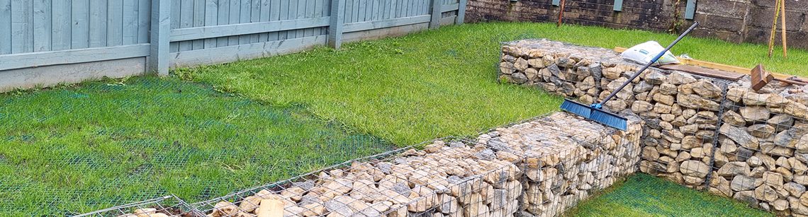 Grass Protection Mesh Garden Transformation - Featured Image