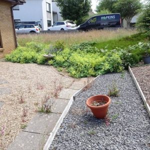 Sam Williams Garden Project - Before 1